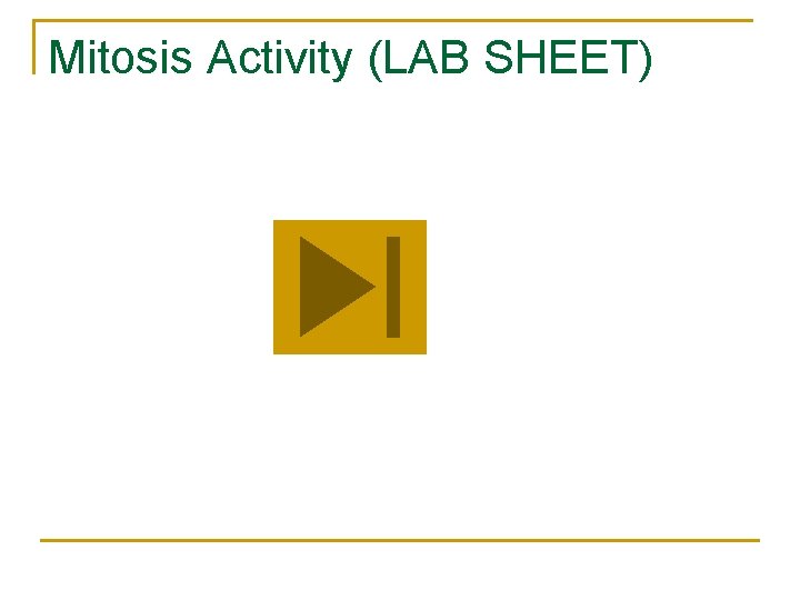 Mitosis Activity (LAB SHEET) 