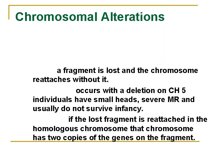 Chromosomal Alterations Deletion a fragment is lost and the chromosome reattaches without it. Cri