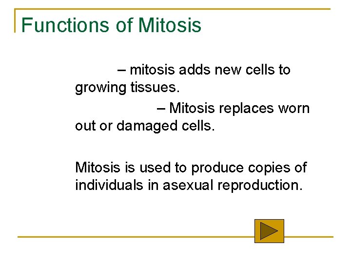 Functions of Mitosis Growth – mitosis adds new cells to growing tissues. Replacement –