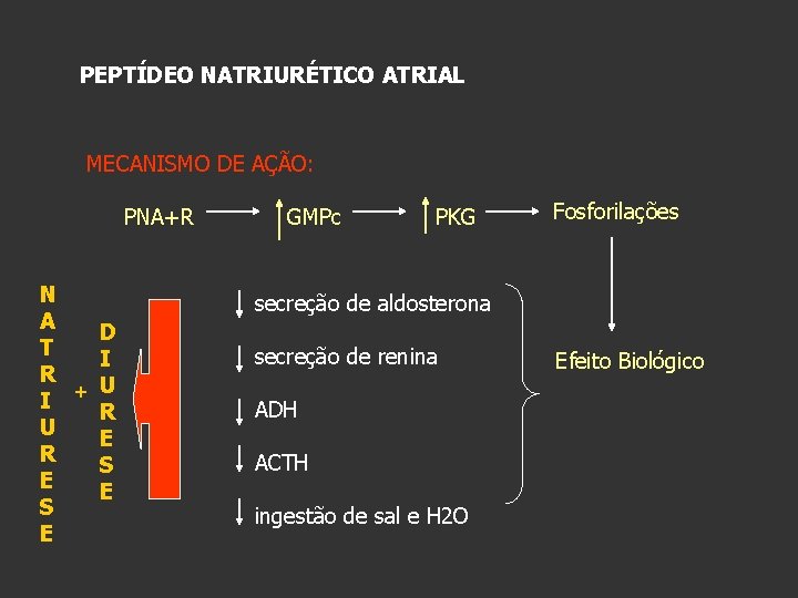 PEPTÍDEO NATRIURÉTICO ATRIAL MECANISMO DE AÇÃO: PNA+R N A D T I R +