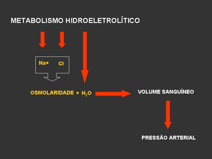 METABOLISMO HIDROELETROLÍTICO Na+ Cl- OSMOLARIDADE + H 2 O VOLUME SANGUÍNEO PRESSÃO ARTERIAL 