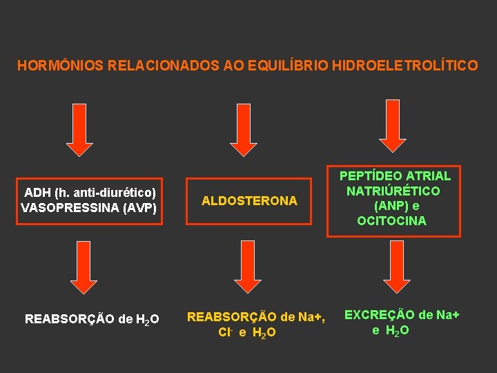 HORMÔNIOS RELACIONADOS AO EQUILÍBRIO HIDROELETROLÍTICO ADH (h. anti-diurético) VASOPRESSINA (AVP) REABSORÇÃO de H 2
