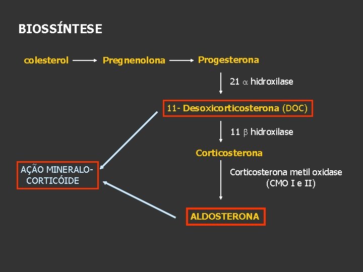 BIOSSÍNTESE colesterol Pregnenolona Progesterona 21 hidroxilase 11 - Desoxicorticosterona (DOC) 11 hidroxilase Corticosterona AÇÃO