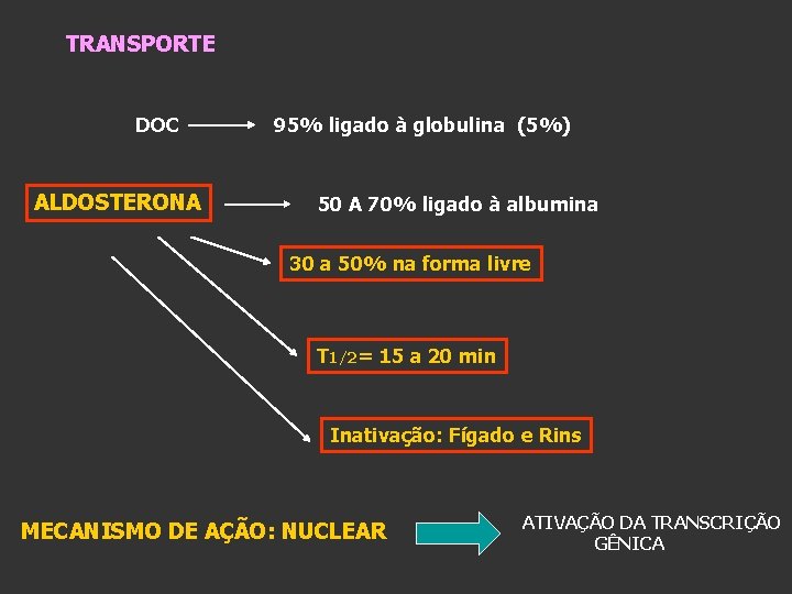 TRANSPORTE DOC ALDOSTERONA 95% ligado à globulina (5%) 50 A 70% ligado à albumina