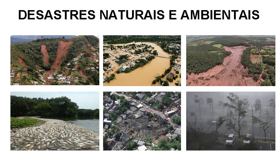 DESASTRES NATURAIS E AMBIENTAIS 