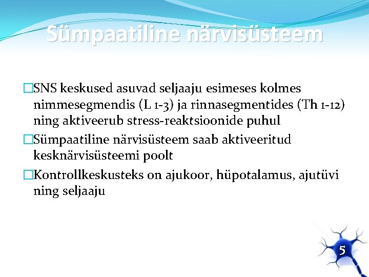 Sümpaatiline närvisüsteem �SNS keskused asuvad seljaaju esimeses kolmes nimmesegmendis (L 1 -3) ja rinnasegmentides