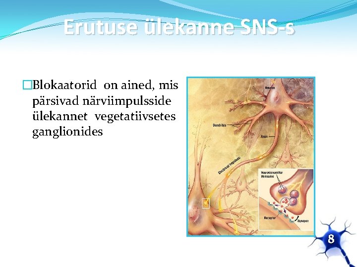 Erutuse ülekanne SNS-s �Blokaatorid on ained, mis pärsivad närviimpulsside ülekannet vegetatiivsetes ganglionides 8 