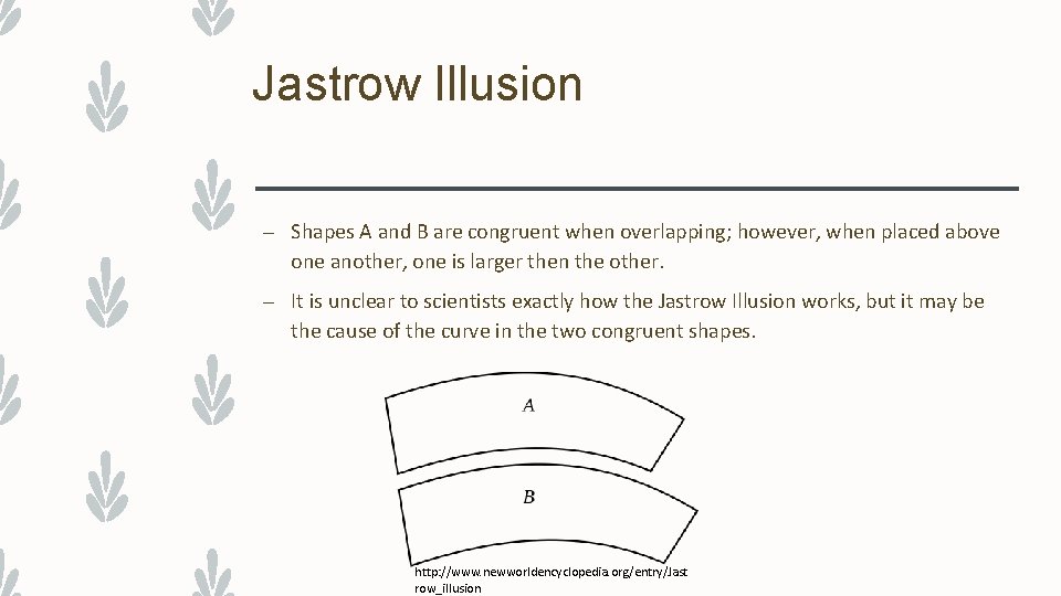 Jastrow Illusion – Shapes A and B are congruent when overlapping; however, when placed