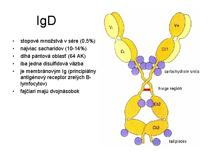 Ig. D • • • stopové množstvá v sére (0, 5%) najviac sacharidov (10