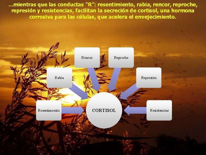 …mientras que las conductas “R”: resentimiento, rabia, rencor, reproche, represión y resistencias, facilitan la