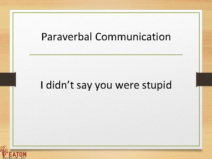 Paraverbal Communication I didn’t say you were stupid 