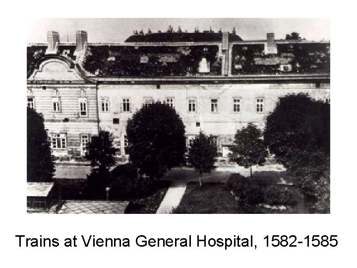 Trains at Vienna General Hospital, 1582 -1585 