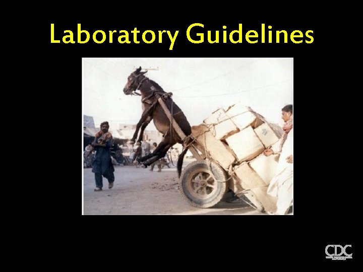 Laboratory Guidelines 