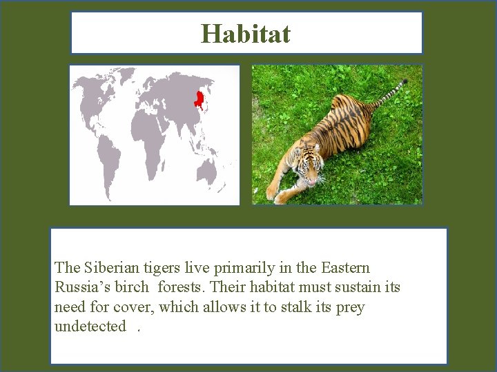 Habitat Map showing where your animal lives Picture showing your animal in its habitat.