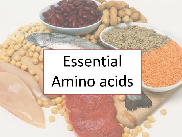 Essential Amino acids 