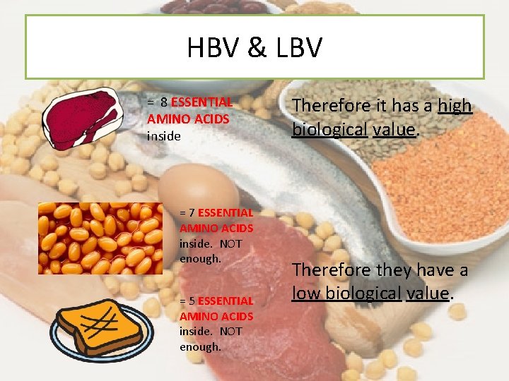 HBV & LBV = 8 ESSENTIAL AMINO ACIDS inside = 7 ESSENTIAL AMINO ACIDS