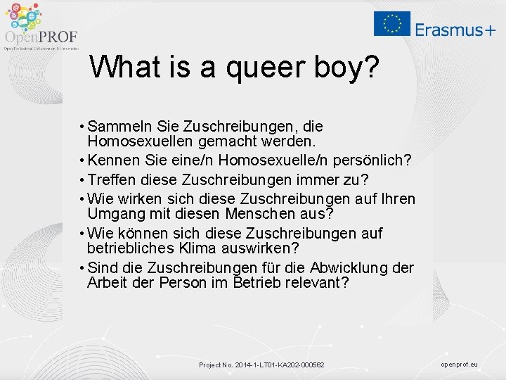 What is a queer boy? • Sammeln Sie Zuschreibungen, die Homosexuellen gemacht werden. •