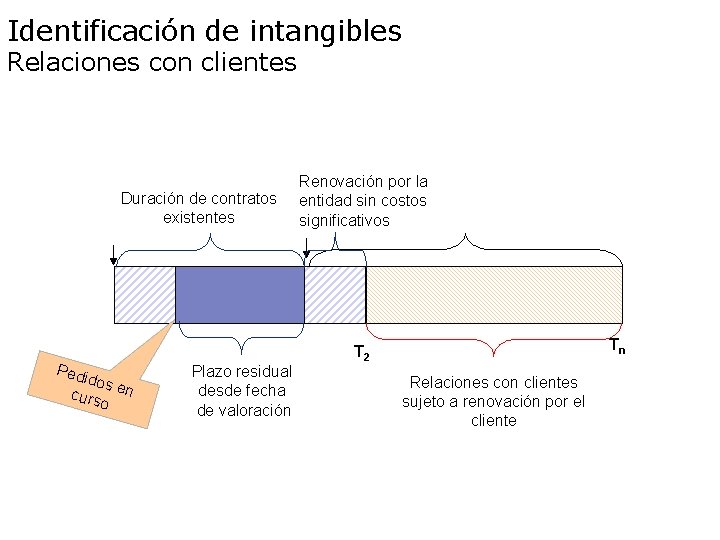 Identificación de intangibles Relaciones con clientes Duración de contratos existentes T-1 Pedi dos curs