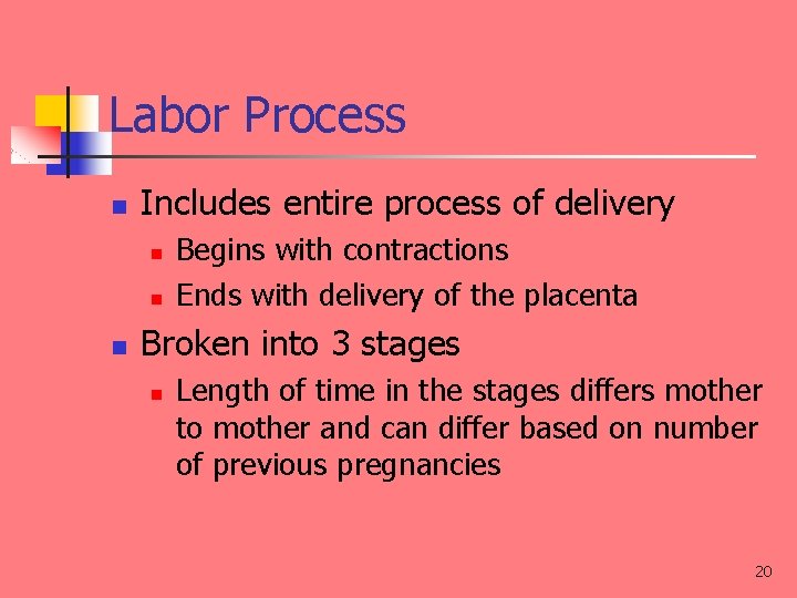 Labor Process n Includes entire process of delivery n n n Begins with contractions