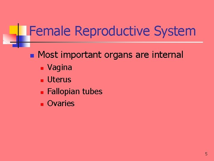 Female Reproductive System n Most important organs are internal n n Vagina Uterus Fallopian