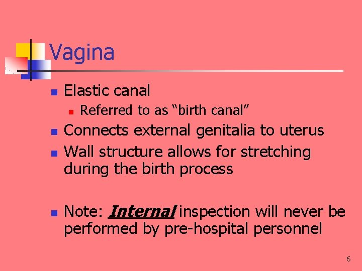 Vagina n Elastic canal n n Referred to as “birth canal” Connects external genitalia