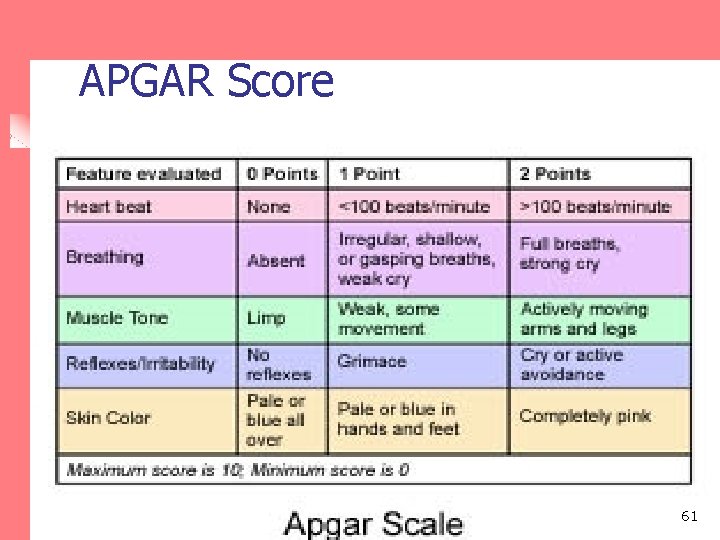 APGAR Score 61 