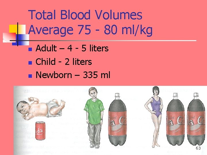 Total Blood Volumes Average 75 - 80 ml/kg n n n Adult – 4