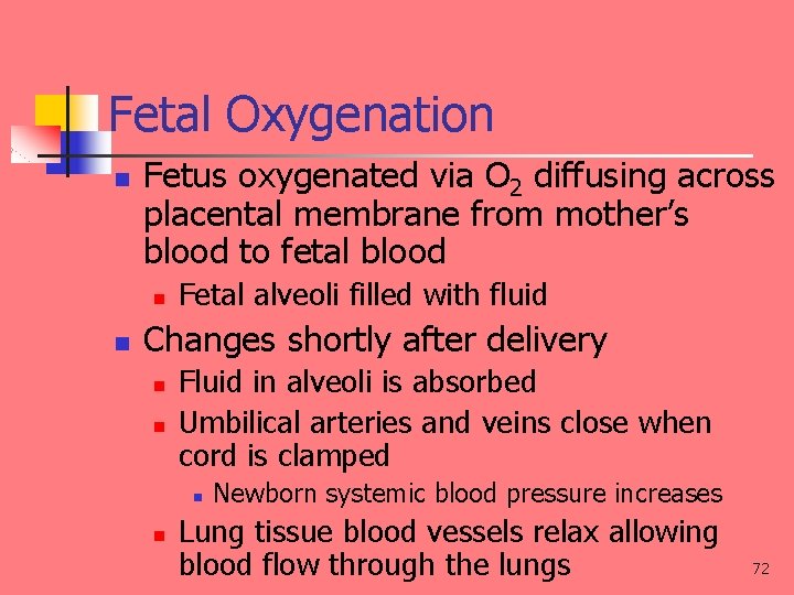 Fetal Oxygenation n Fetus oxygenated via O 2 diffusing across placental membrane from mother’s
