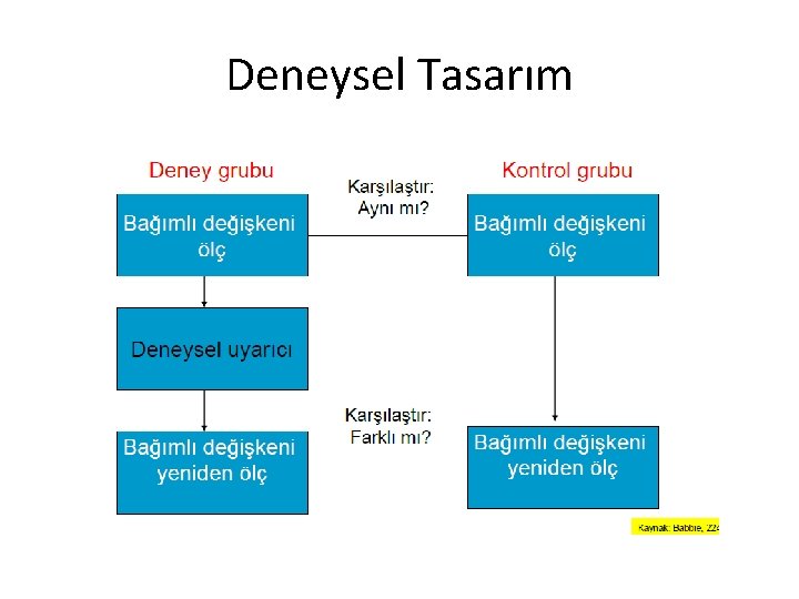 Deneysel Tasarım 