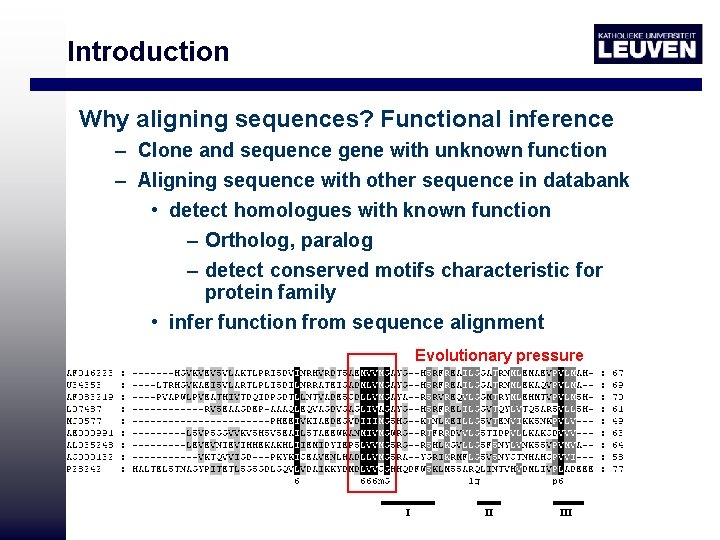 Introduction Why aligning sequences? Functional inference – Clone and sequence gene with unknown function
