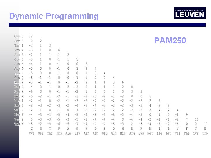Dynamic Programming PAM 250 