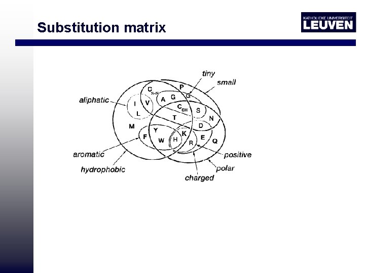 Substitution matrix 