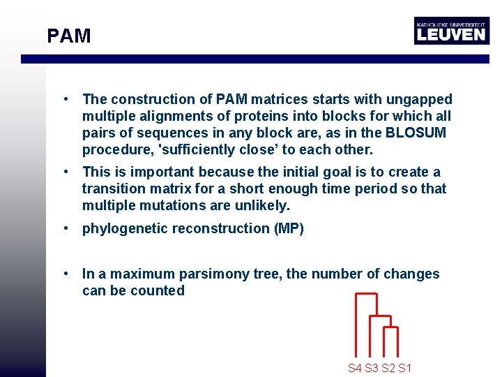 PAM • The construction of PAM matrices starts with ungapped multiple alignments of proteins