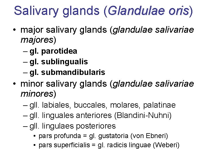 Salivary glands (Glandulae oris) oris • major salivary glands (glandulae salivariae majores) – gl.