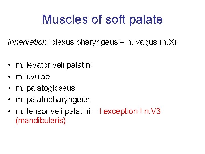 Muscles of soft palate innervation: plexus pharyngeus = n. vagus (n. X) • •