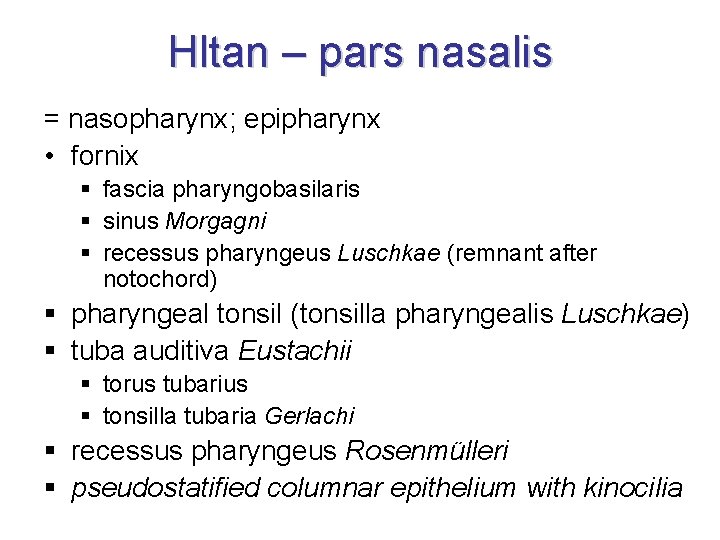 Hltan – pars nasalis = nasopharynx; epipharynx • fornix § fascia pharyngobasilaris § sinus