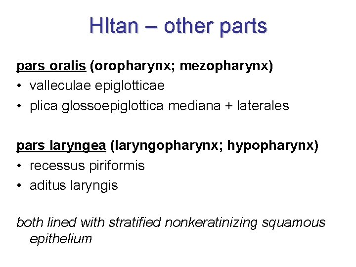 Hltan – other parts pars oralis (oropharynx; mezopharynx) • valleculae epiglotticae • plica glossoepiglottica