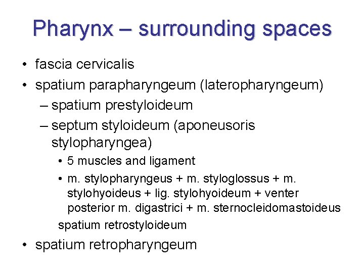 Pharynx – surrounding spaces • fascia cervicalis • spatium parapharyngeum (lateropharyngeum) – spatium prestyloideum