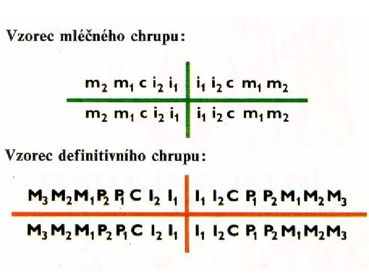 Dental formula 