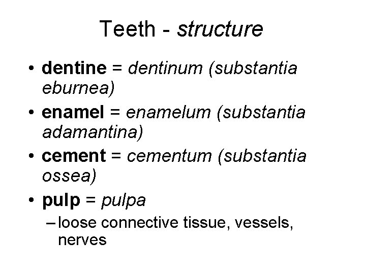 Teeth - structure • dentine = dentinum (substantia eburnea) • enamel = enamelum (substantia