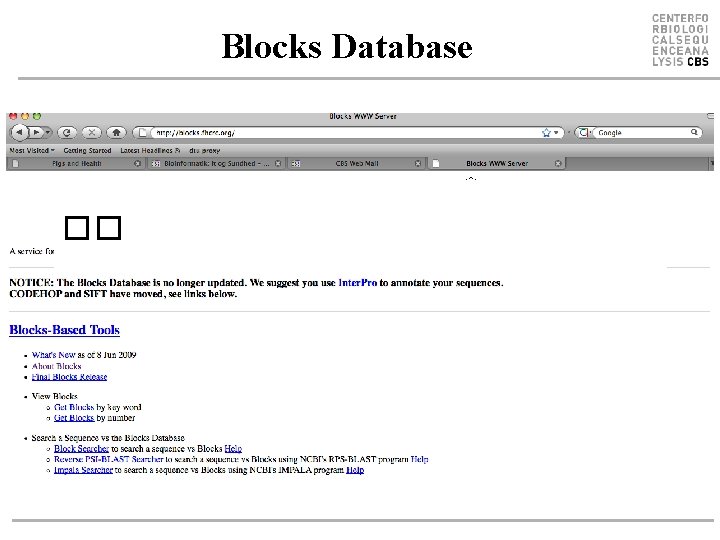 Blocks Database �� 