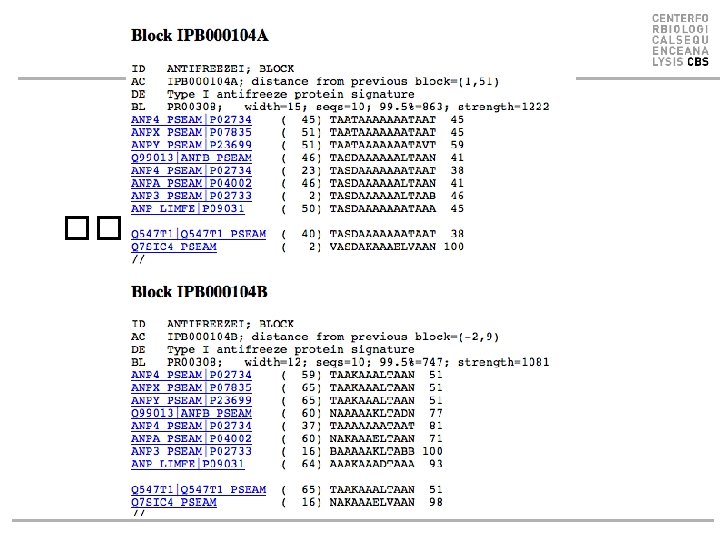 Blocks Database �� 