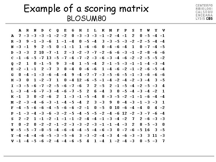 Example of a scoring matrix BLOSUM 80 A R N D C Q E
