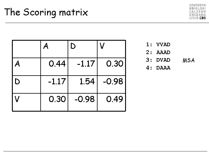 The Scoring matrix A D V A 0. 44 -1. 17 D -1. 17