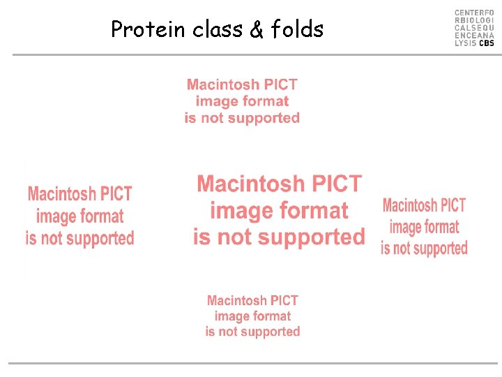 Protein class & folds 