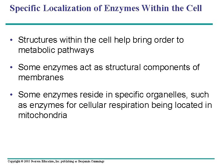 Specific Localization of Enzymes Within the Cell • Structures within the cell help bring