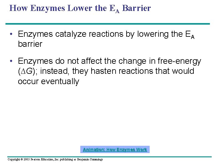 How Enzymes Lower the EA Barrier • Enzymes catalyze reactions by lowering the EA