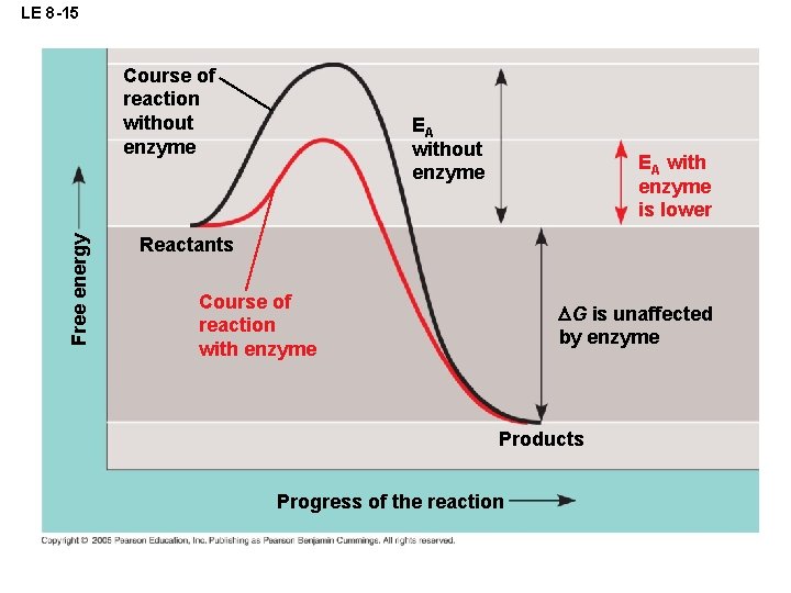 LE 8 -15 Free energy Course of reaction without enzyme EA with enzyme is