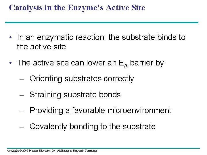 Catalysis in the Enzyme’s Active Site • In an enzymatic reaction, the substrate binds