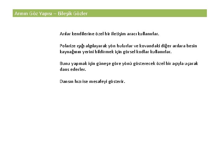 Arının Göz Yapısı – Bileşik Gözler Arılar kendilerine özel bir iletişim aracı kullanırlar. Polarize